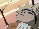 Opening4.jpg
